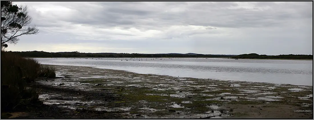 Lavinia Nature Reserve, King Island, a panorama near the mouth of Sea Elephant River. Peter Neaum. - panoramio