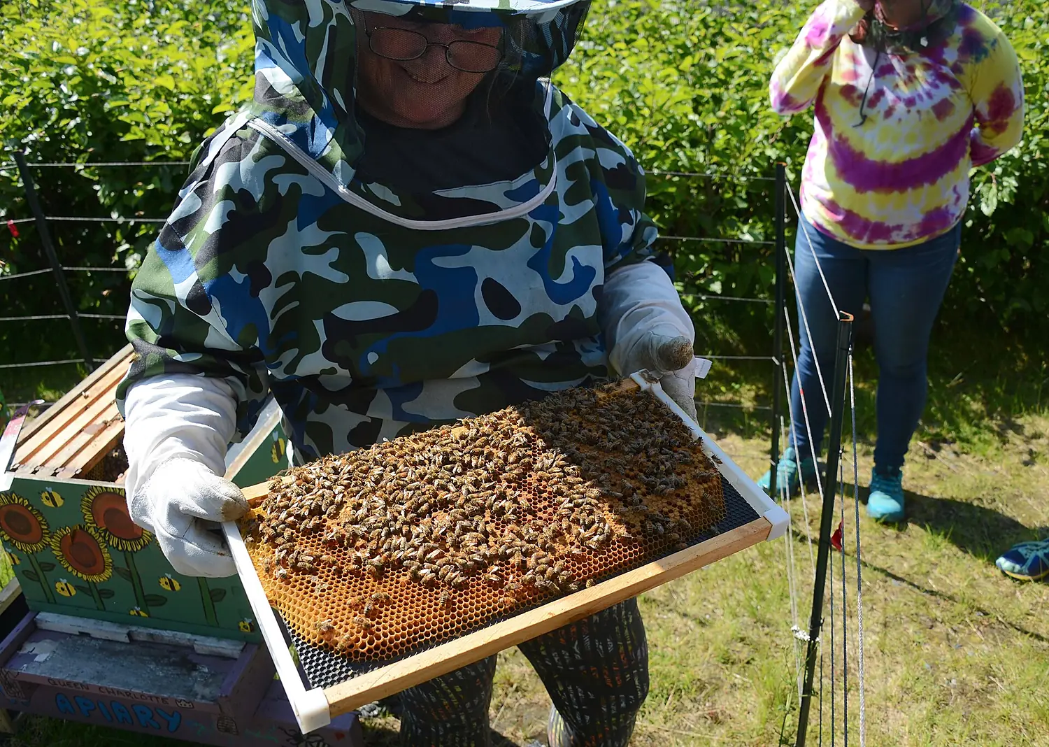 210714 Kodiak beekeeper (51324495817)