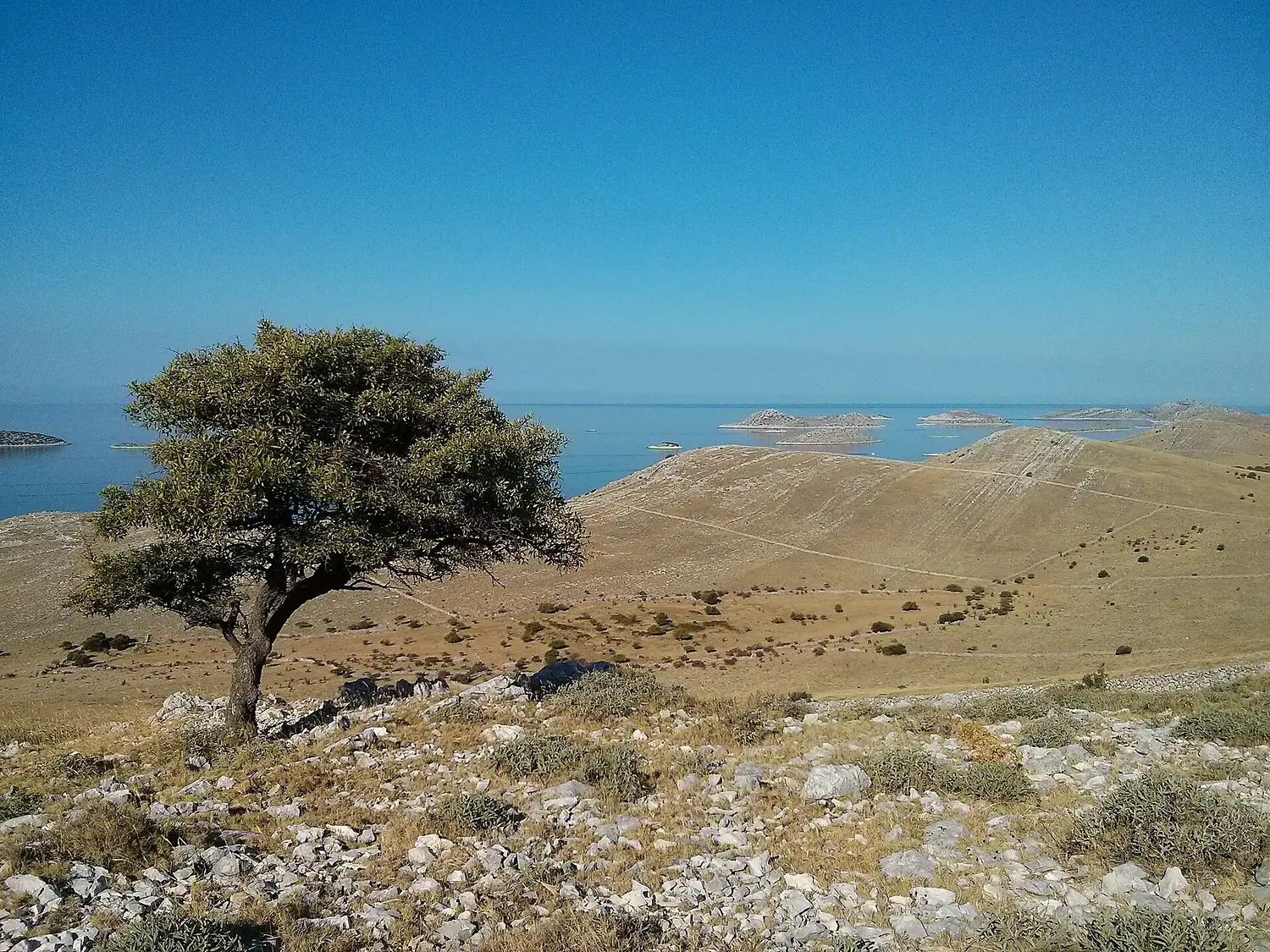 Kornat island near Vrulje