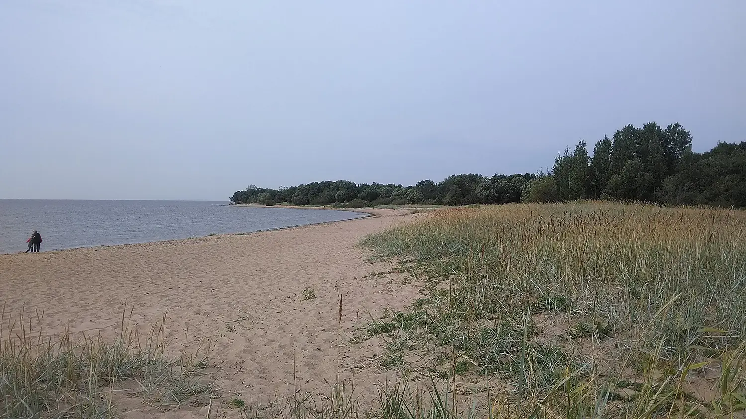 Kotlind island, The Gulf of Finland (37260482602)