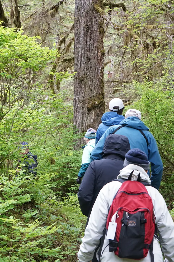Hikers, Kupreanof Island 01