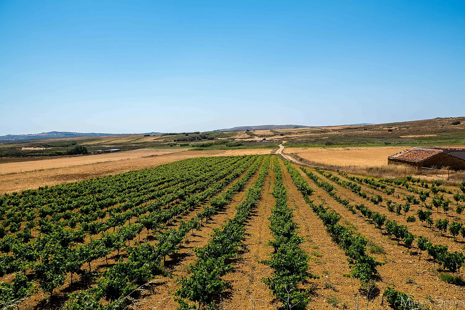 LandscapeLemnos