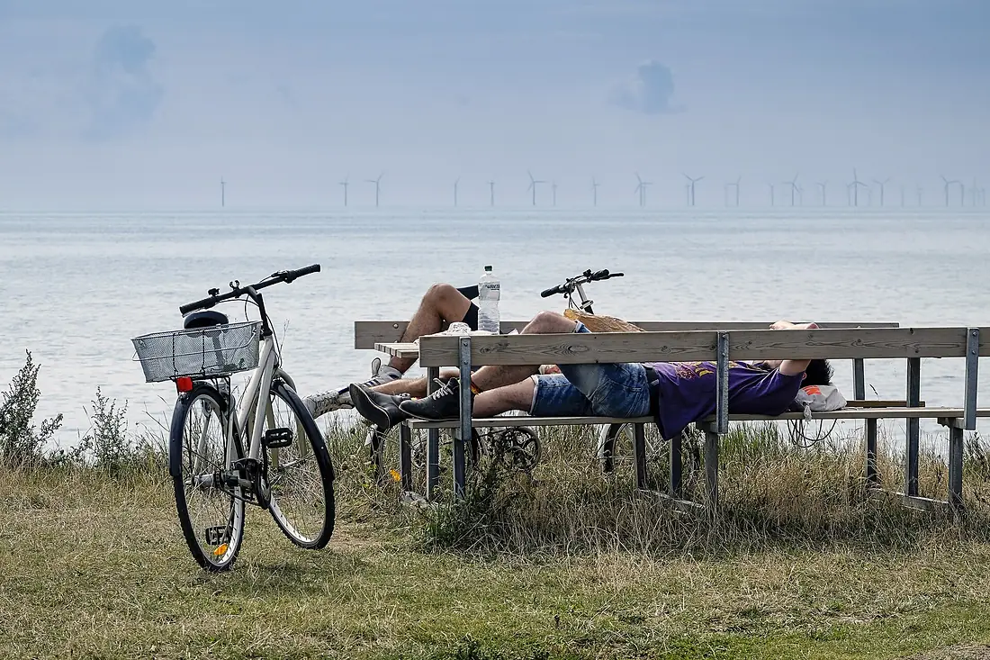 Cyklister vindkraftverk Lolland 20140805 0107-3 (16612085302)