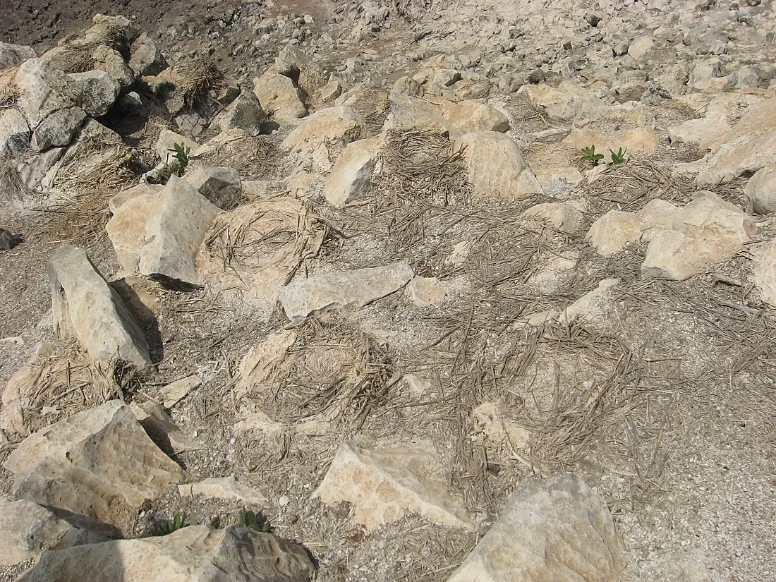 Iles de la Madeleine-Dakar (10)