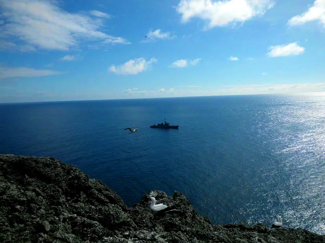 Costa de la Isla de Malpelo - II