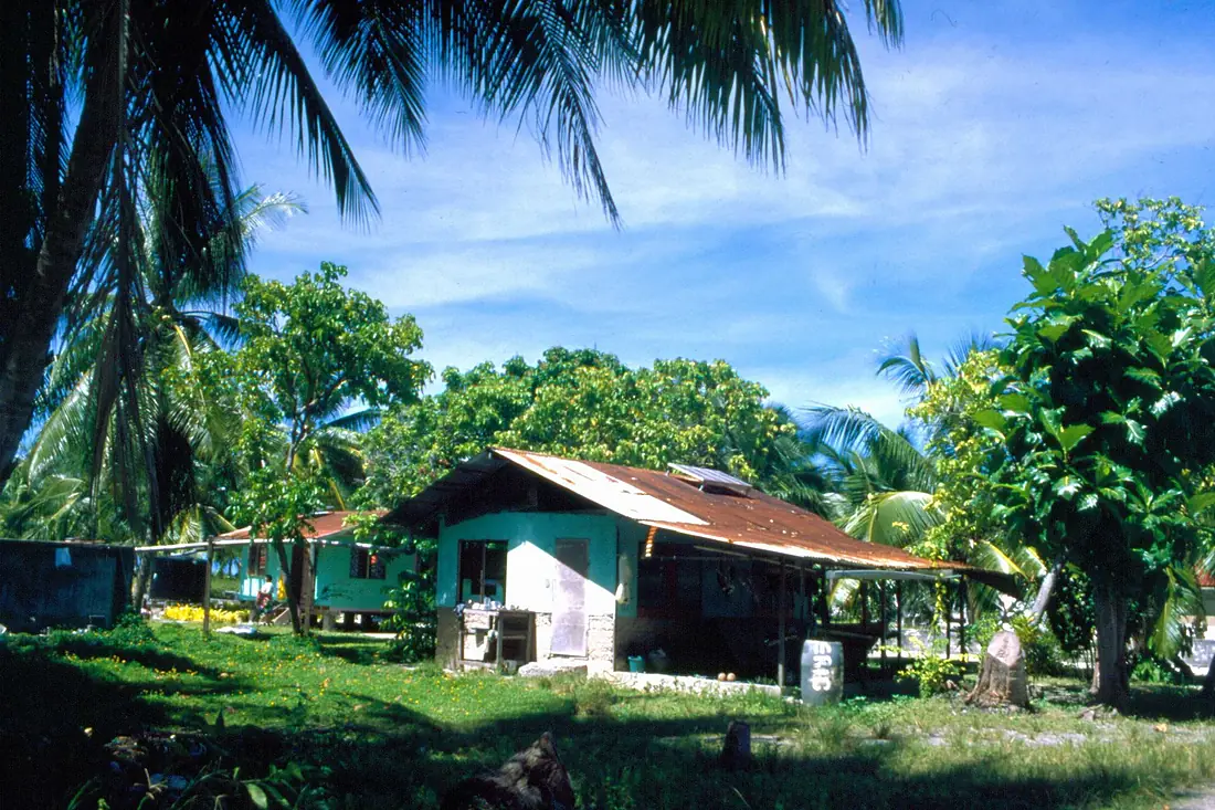 Manihi1