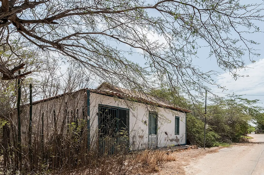 Abandoned tile-roofed house in dry scrub, Margarita Island, Venezuela