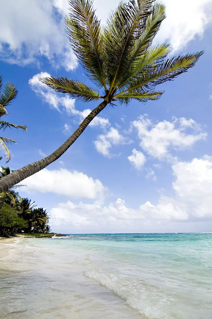 Marie Galante - on the beach (407689602)
