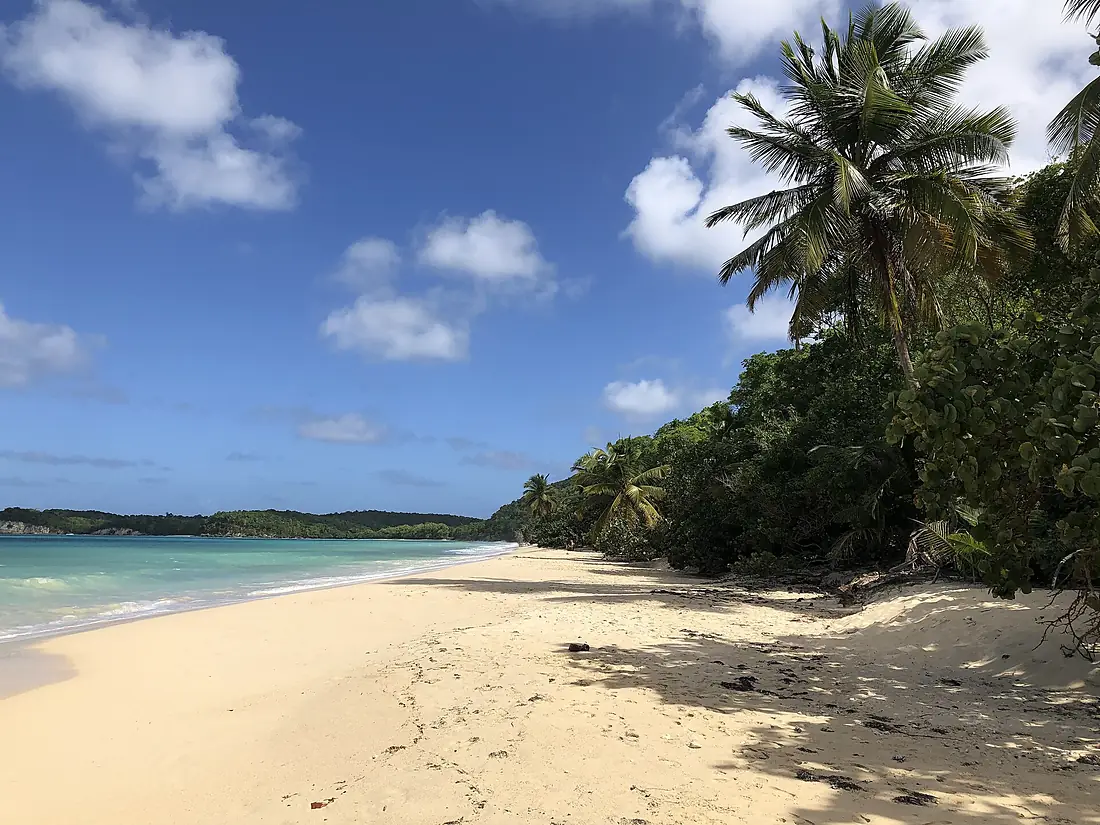 Plage de Folle Anse on Marie-Galante