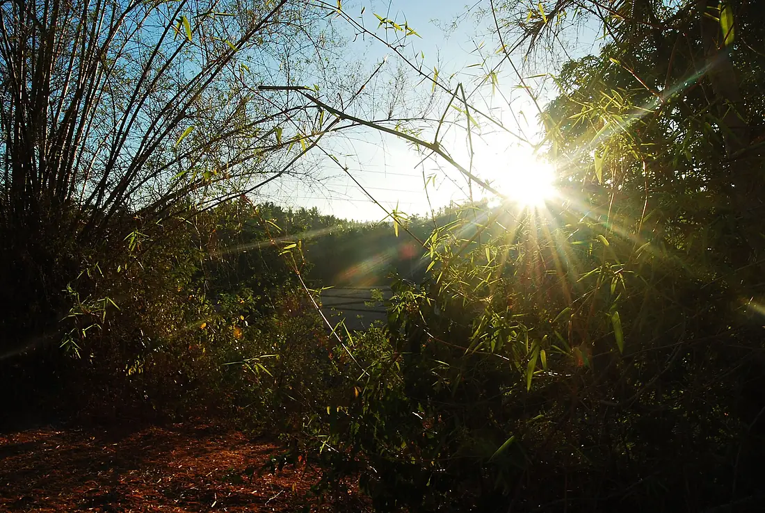 Sunrise in Masbate