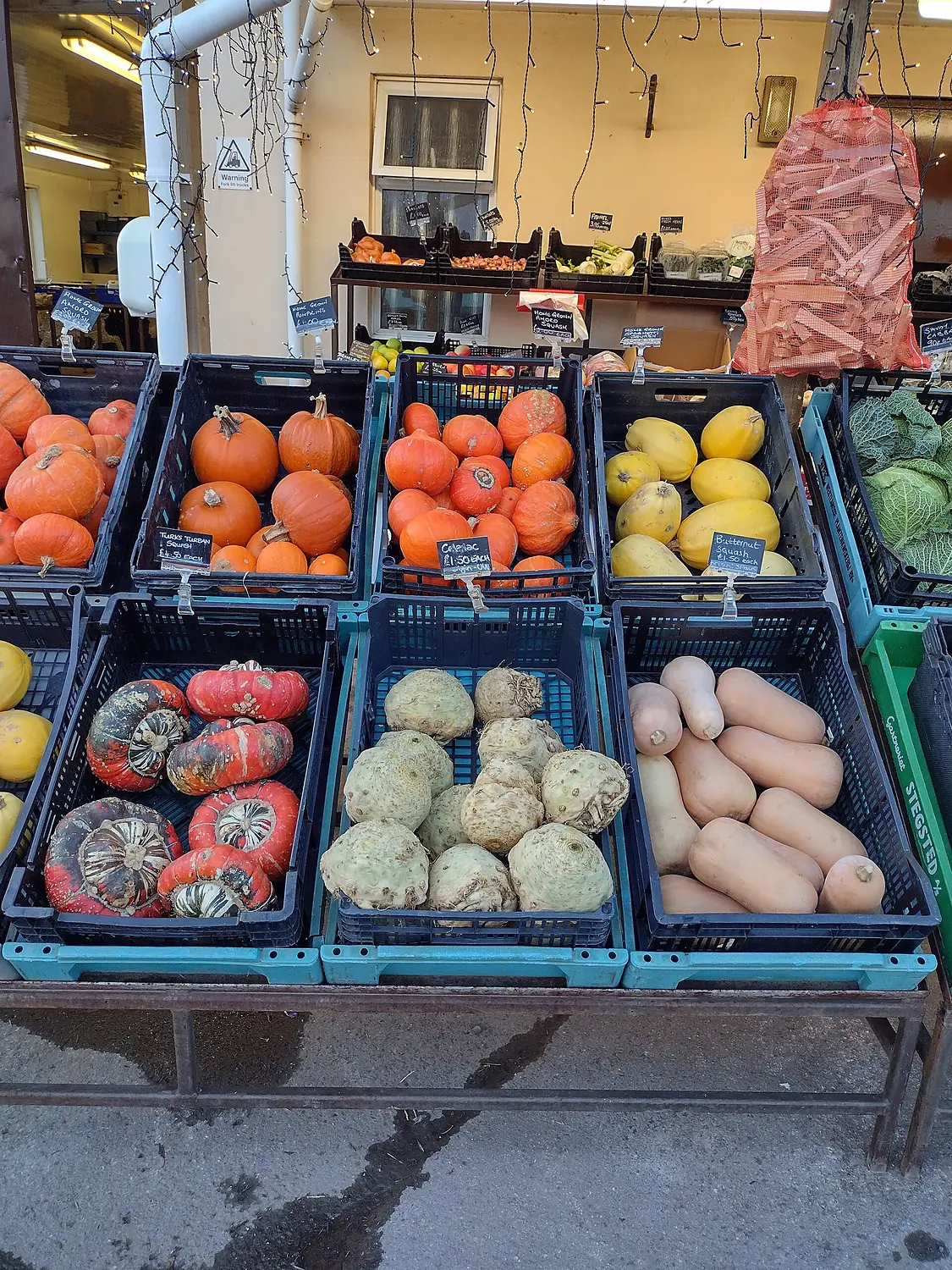 Guords of Menorca