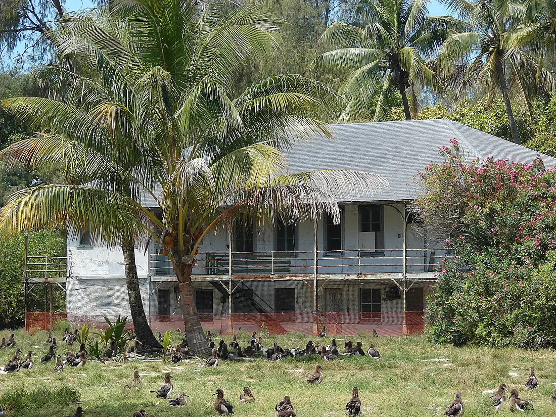 Starr 080531-4733 Midway Island Cable station building (nb 643) in May 2008 with cocos nucifera
