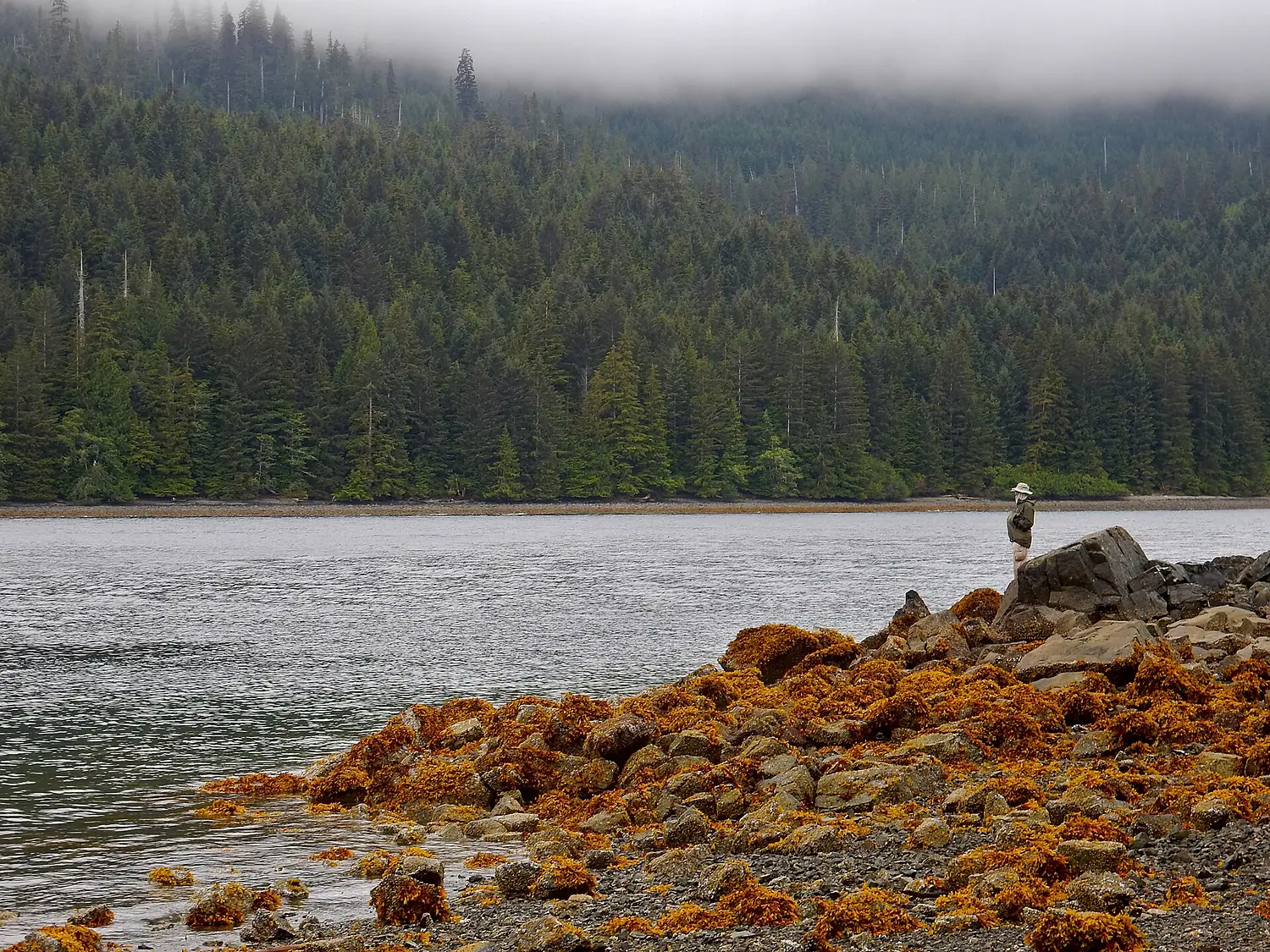 Cecil Cove, Haida Gwaii