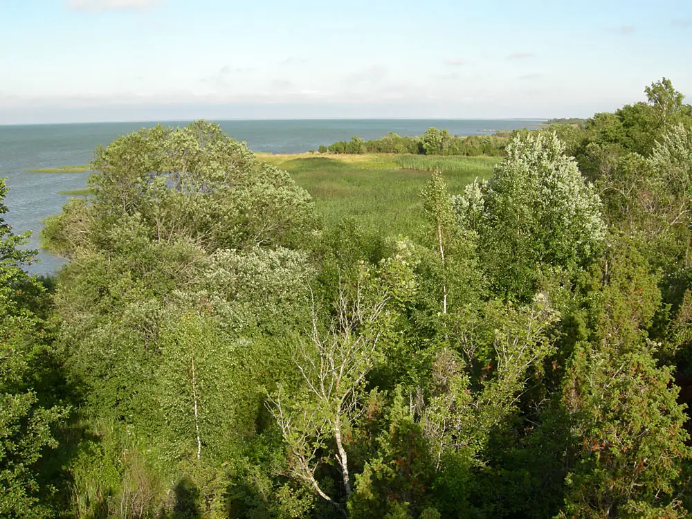 NorthMuhuCoast