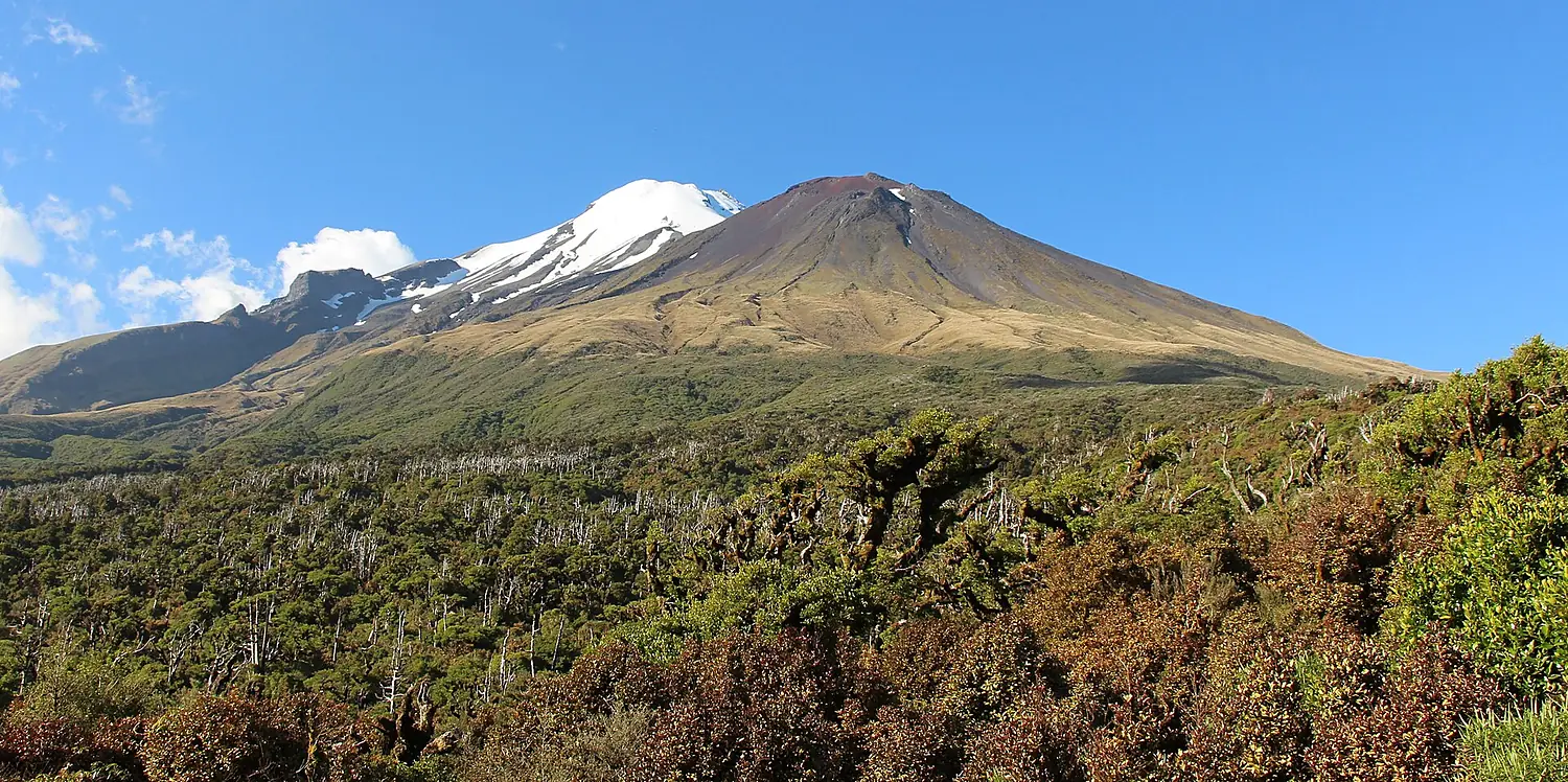 Egmont National Park, December 2015, New Zealand (42)