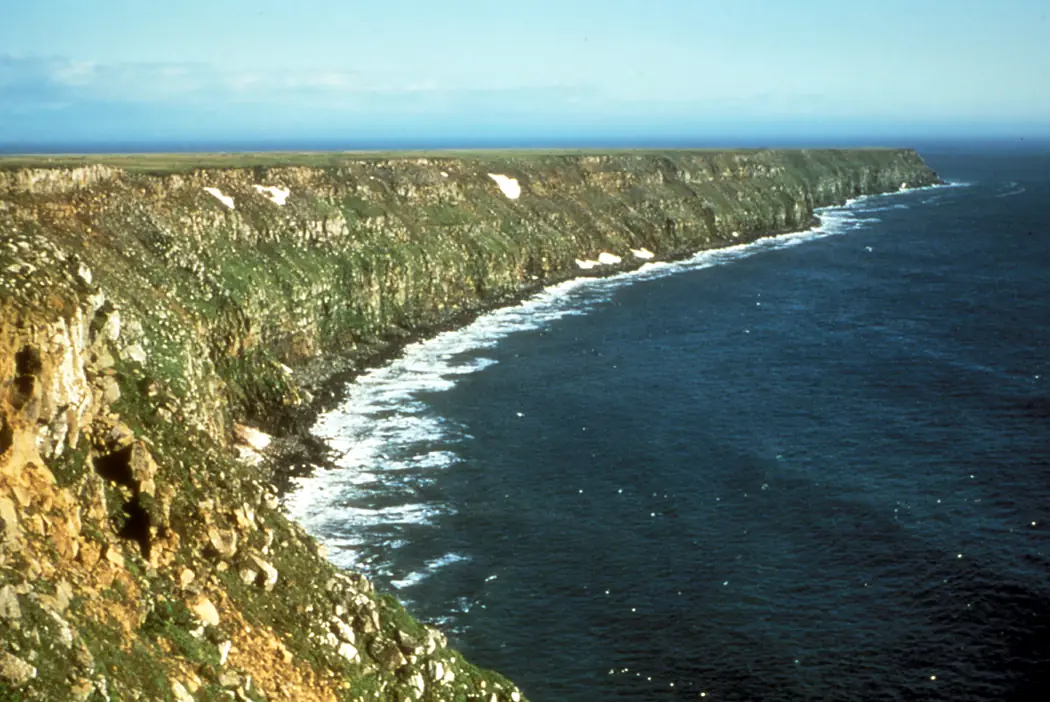 NunivakCliffsFWS726