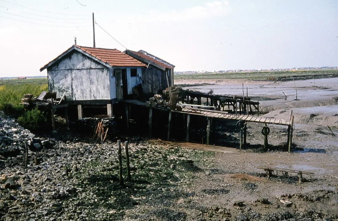 Cabanes ostréicoles (Marennes-Oléron)