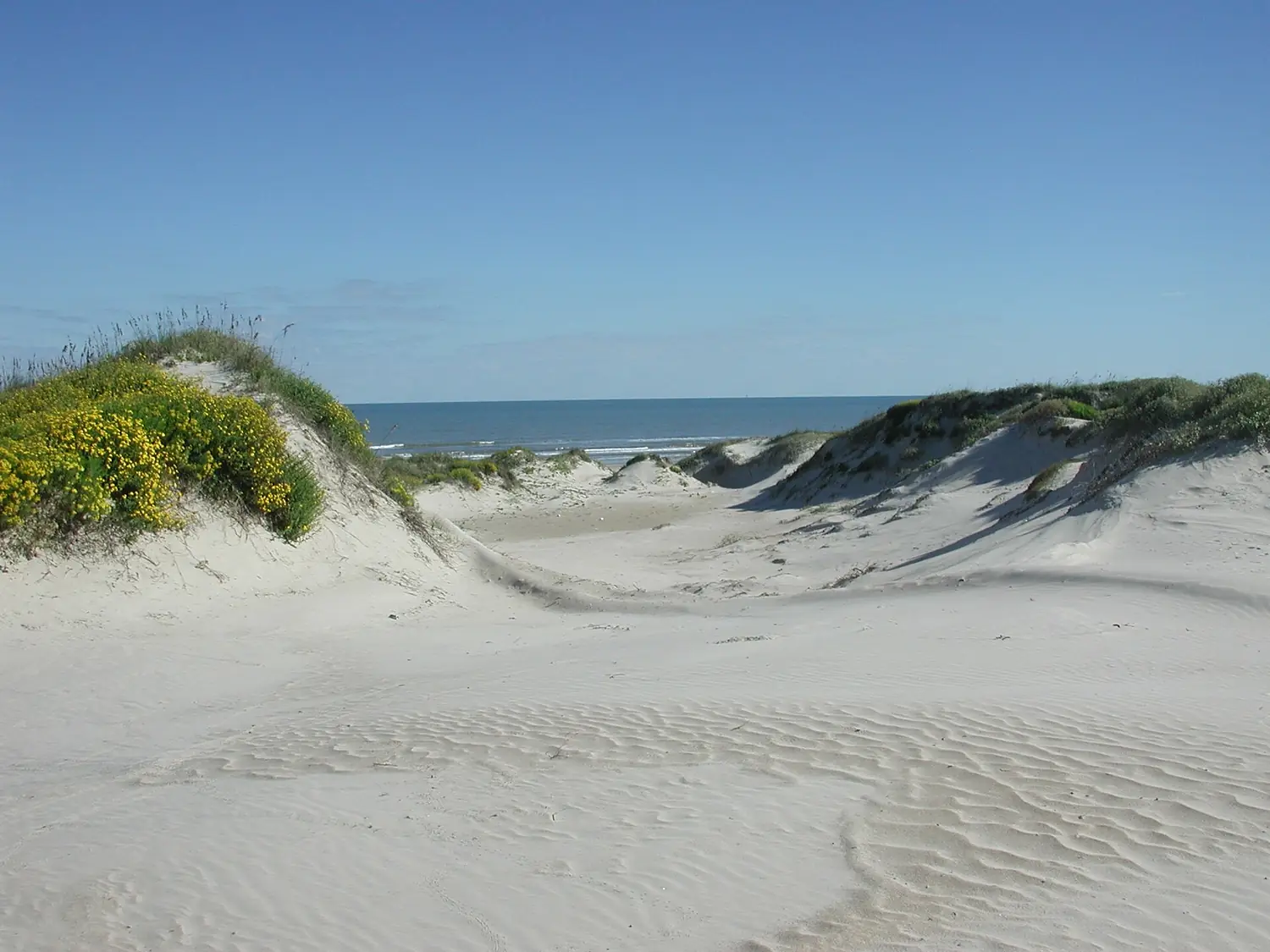Padre Island National Seashore - sand dunes3
