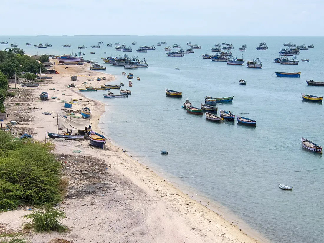 Fishing Fleet at Pamban (10567557716)