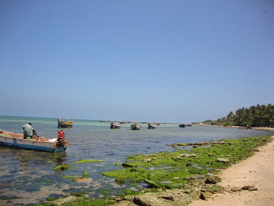 PAMBAN - panoramio