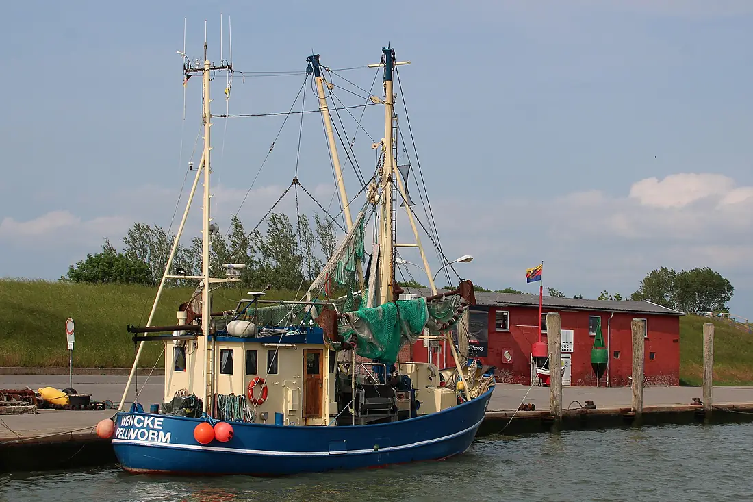 2019 Pellworm alter Hafen