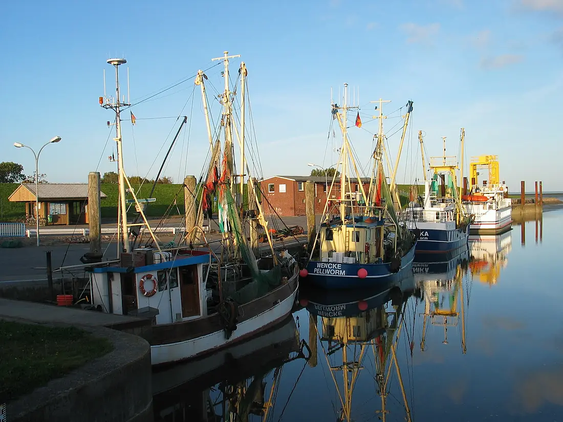 Hafen Pellworm (Nordseite) - panoramio
