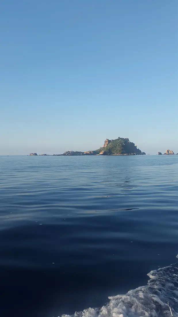 L'île des pisans