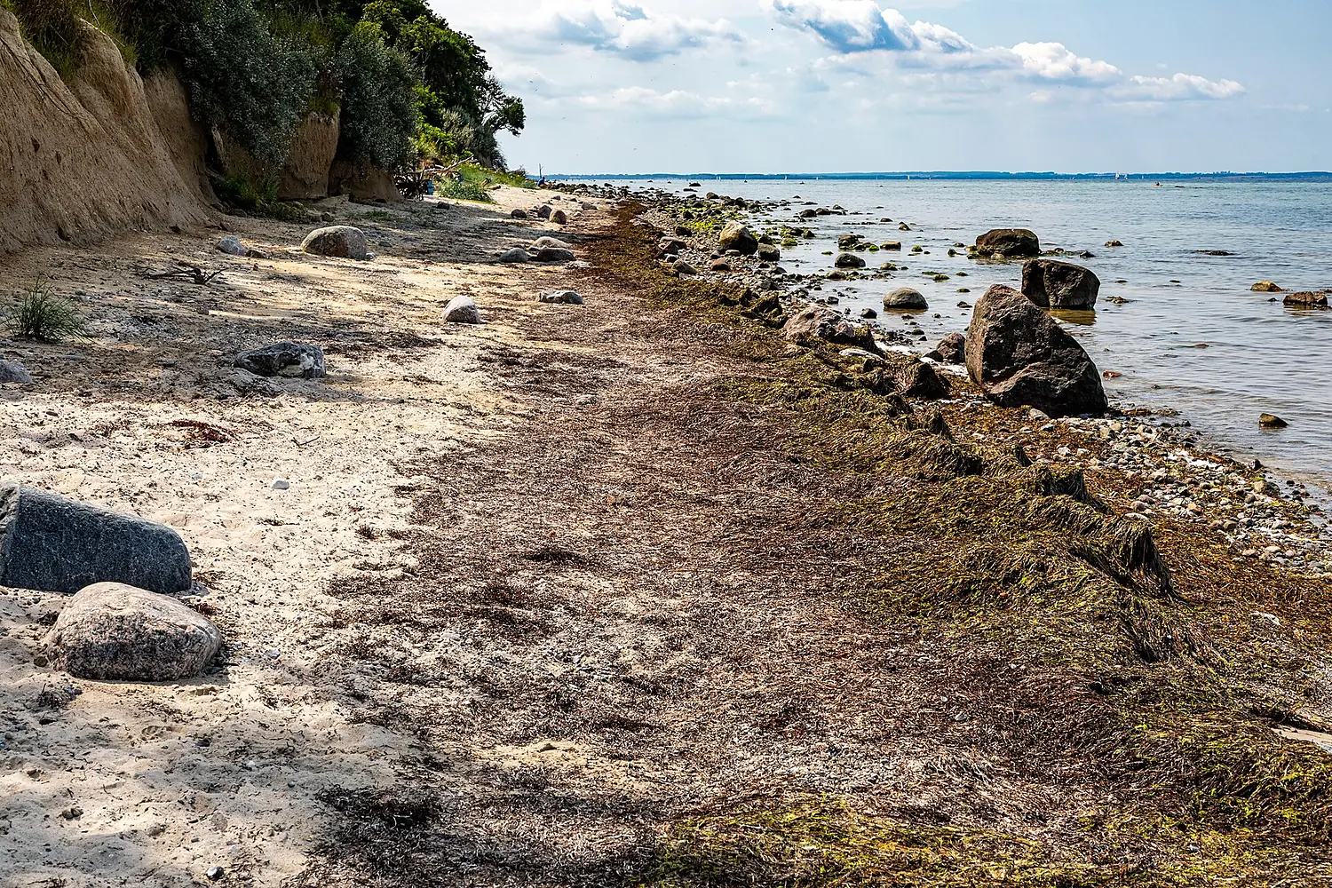 Insel Poel, Kaltenhof, Steilküste -- 2024 -- 5485
