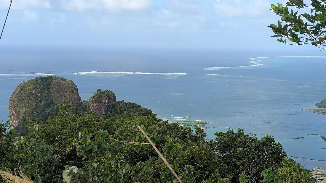Coral reef around Pohnpei 2