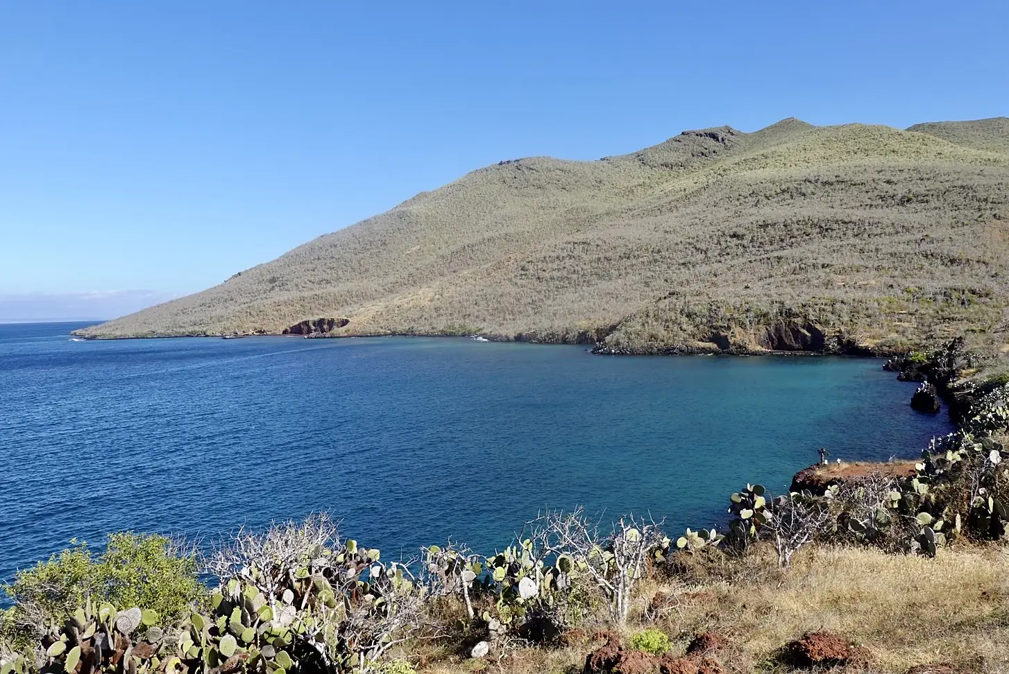 Cove on the Northern Side of Rábida Island