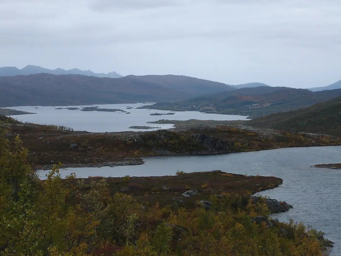 Skogsfjordvatn