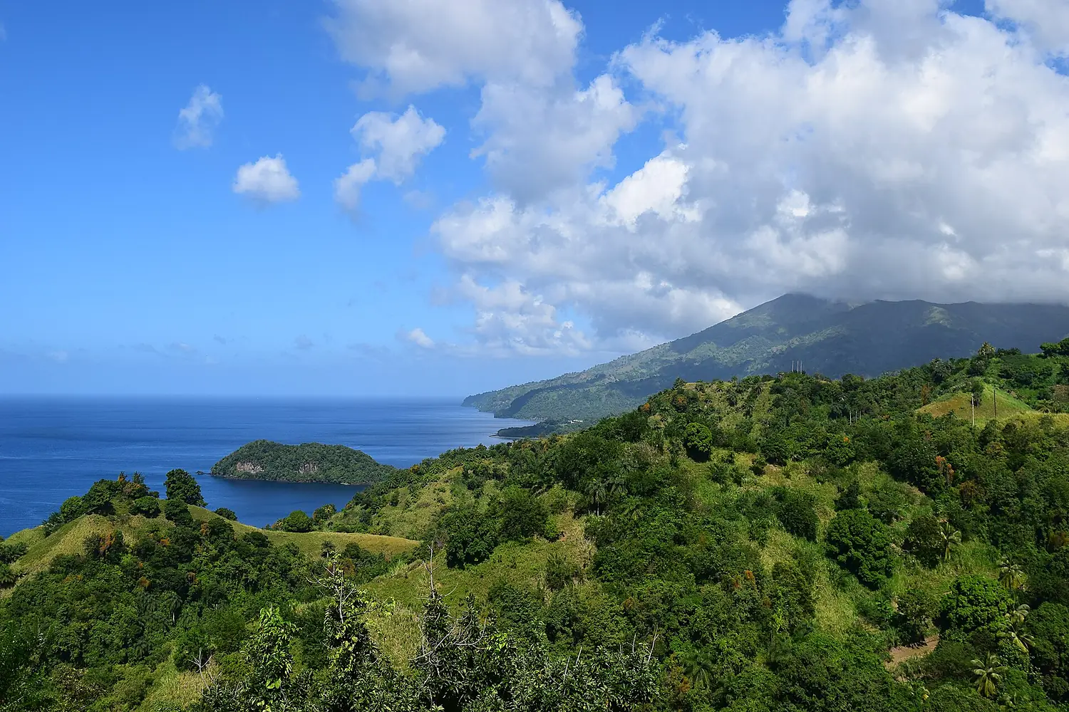 Saint Vincent Island