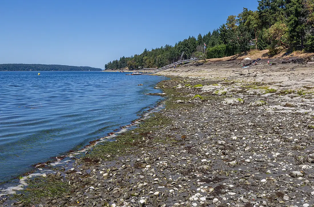Beach across Gulf Island, Saltspring Island, British Columbia, Canada 01