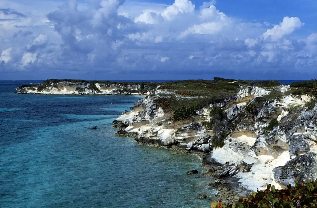 Bahamas 1989 (687) San Salvador (25610911620)