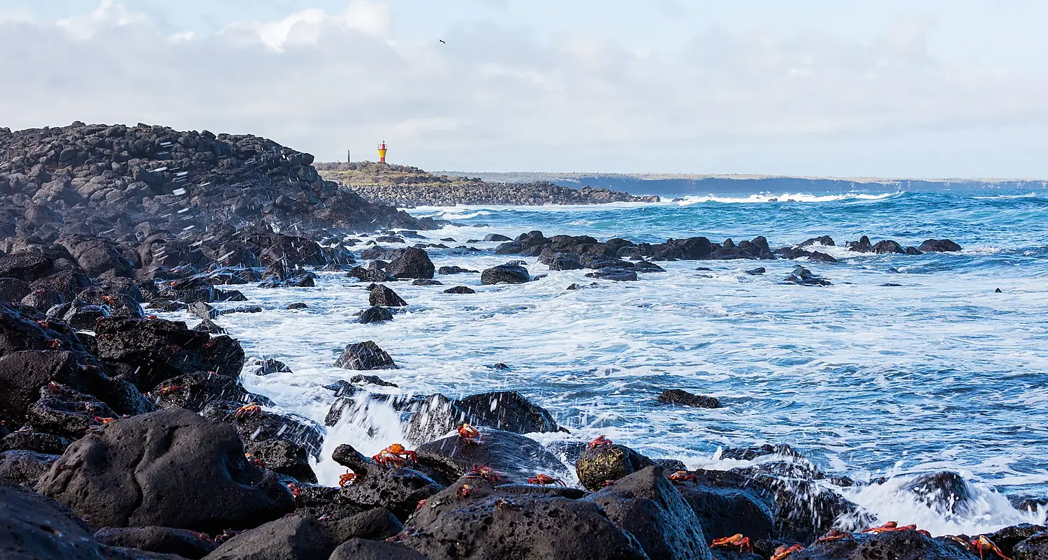 Costa de isla Santa Cruz, islas Galápagos, Ecuador, 2015-07-26, DD 51