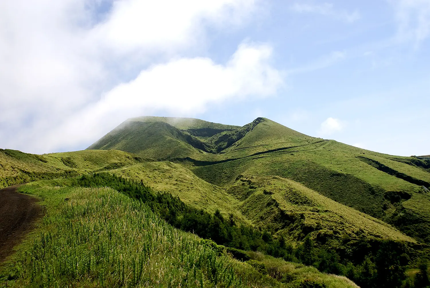 Morro Pelado, Norte Grande, Calheta, ilha de São Jorge, Açores