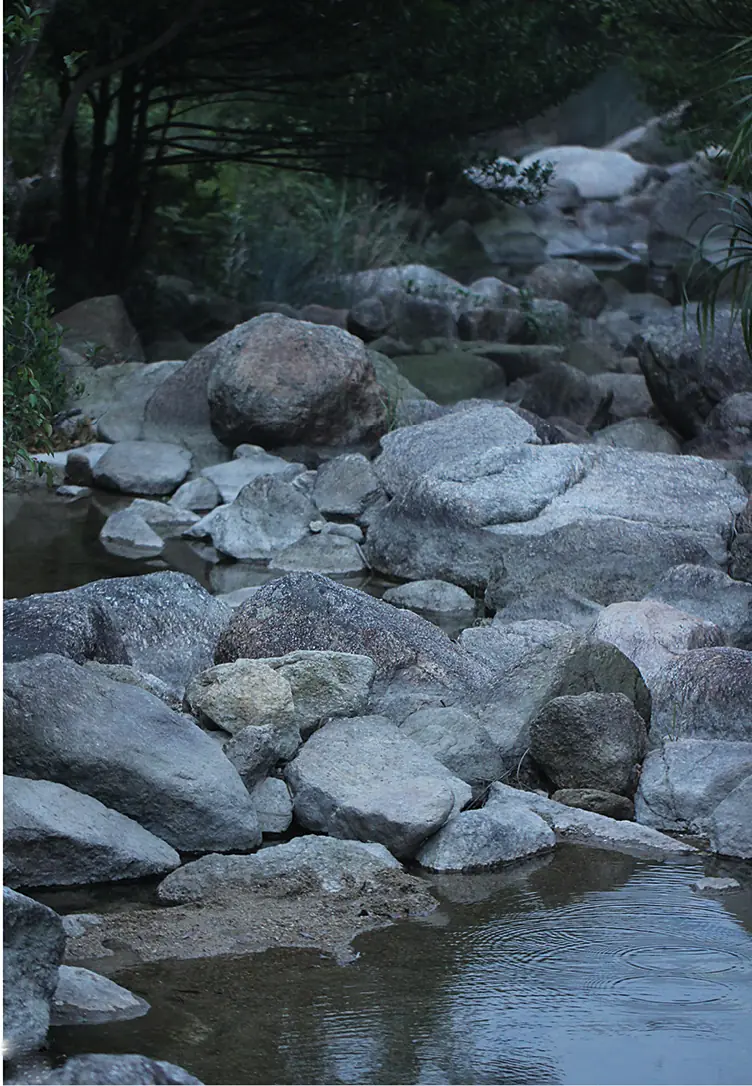 A stream in Shangchuan Island