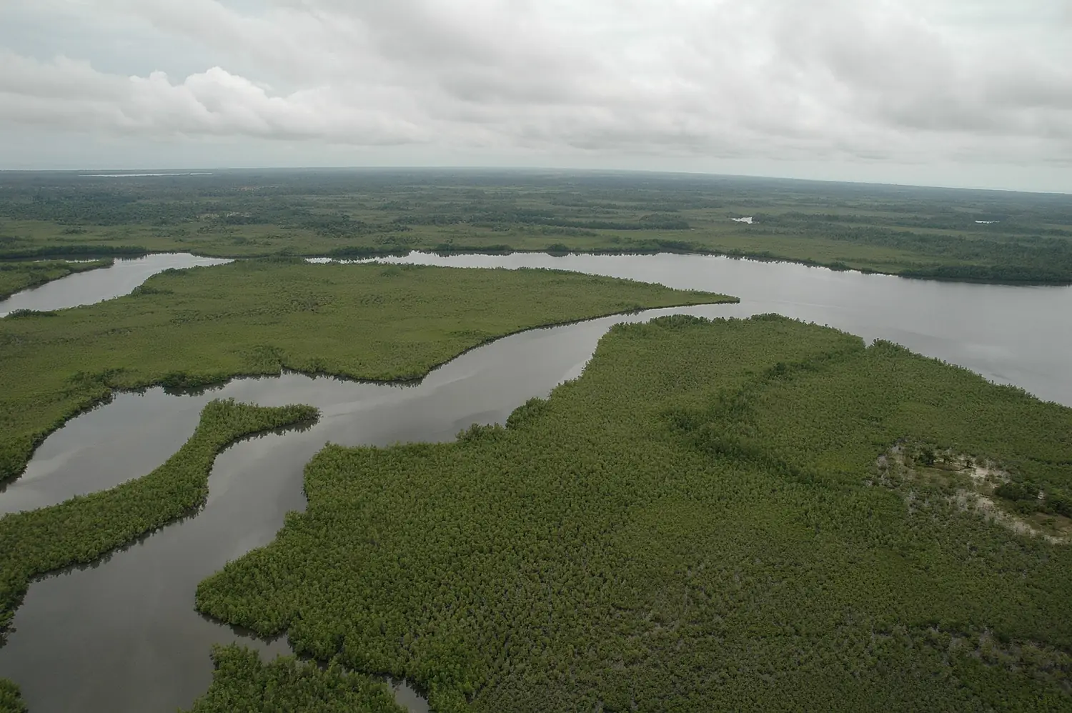 Sherbro Island - panoramio (1)