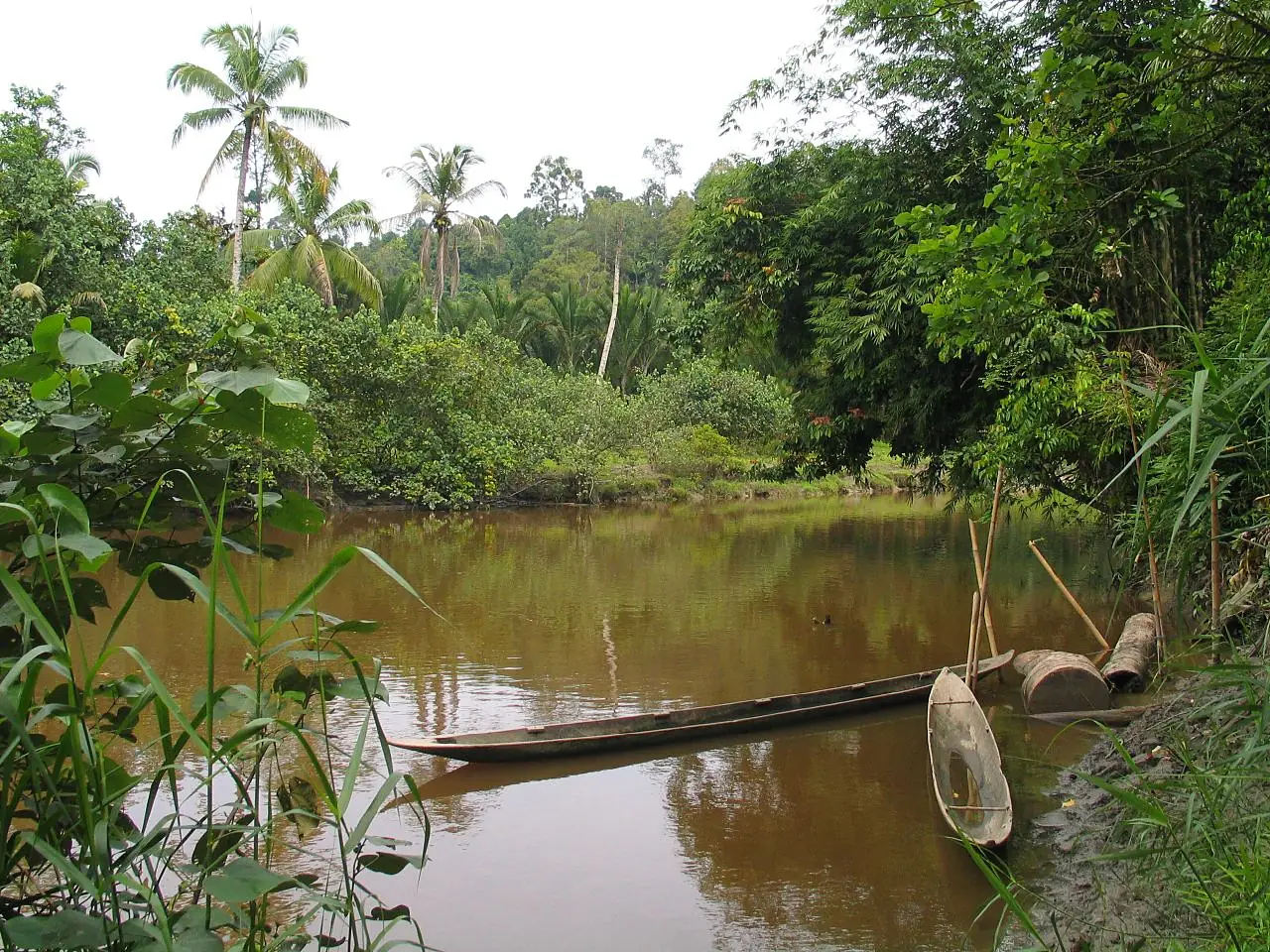 Siberut island river