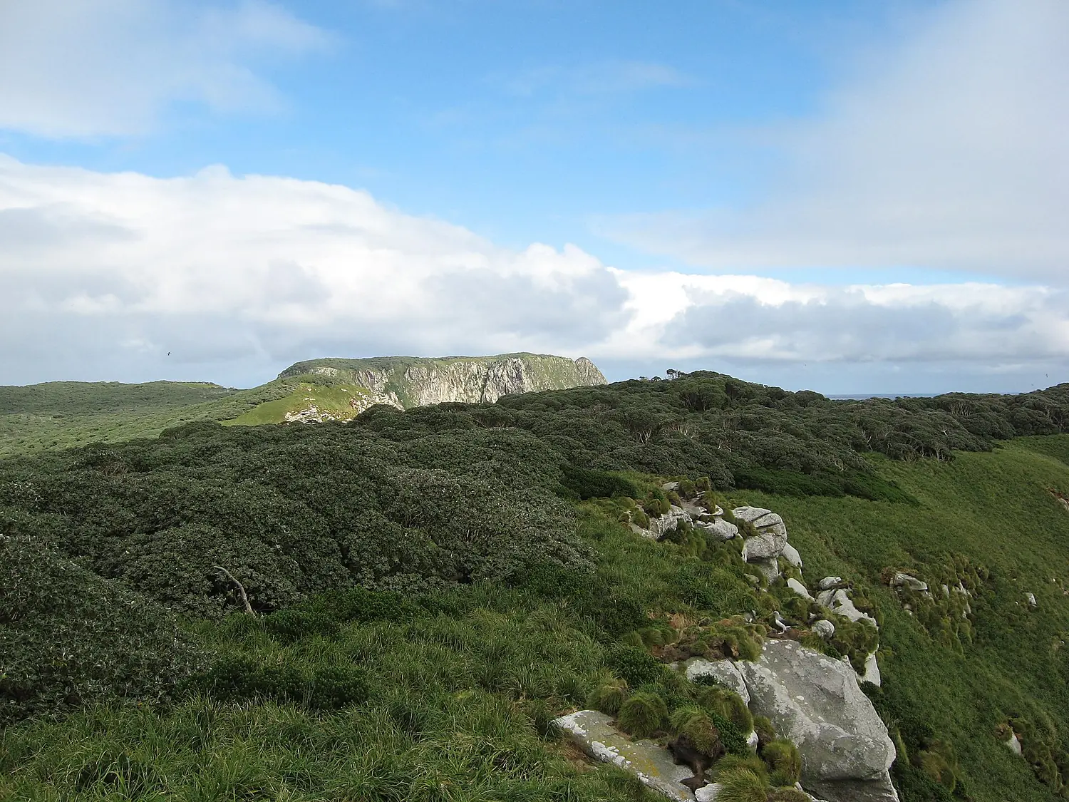 Snares North East Island