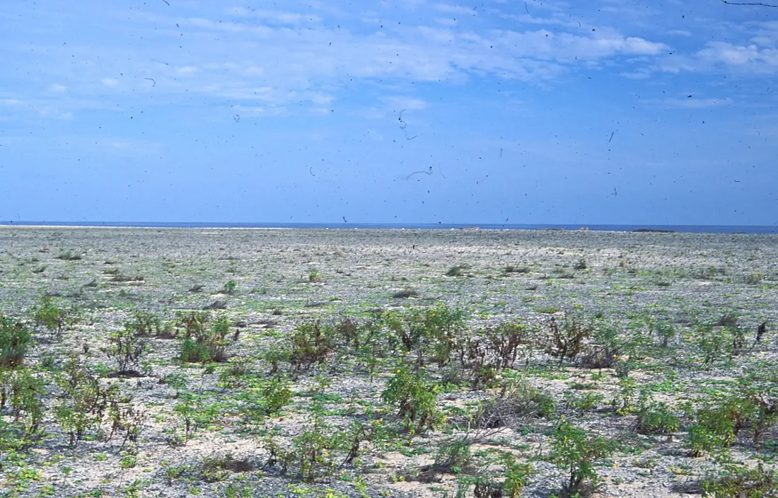 Starbuck Island Interior