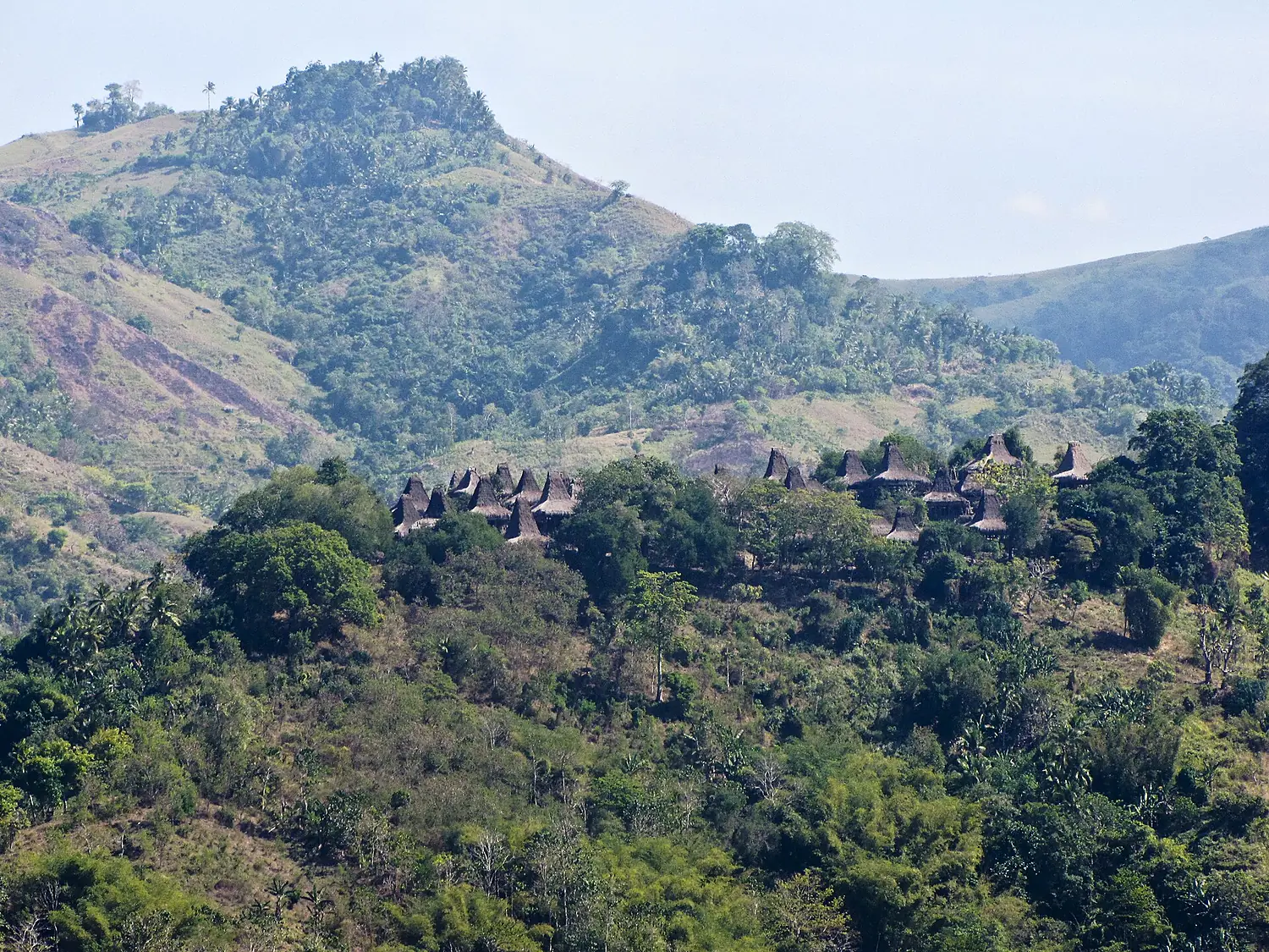 Village-Sumba