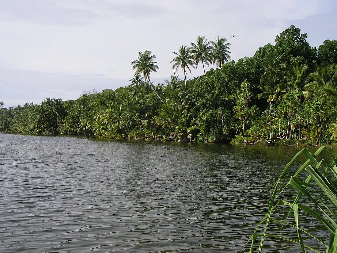 Swains Island 3