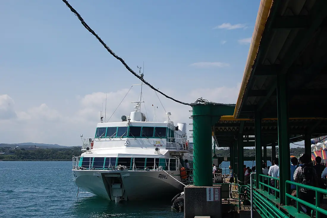 Toppy, Tanegashima (4982998086)