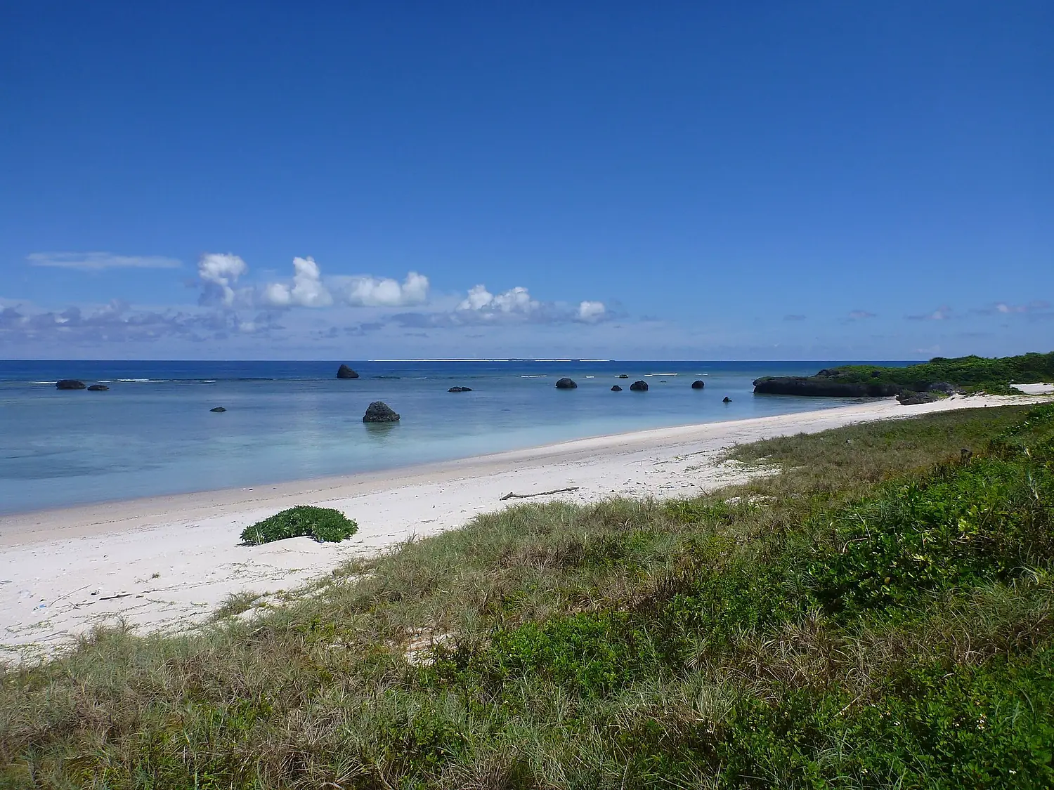Coastal vegetation Tarama Island