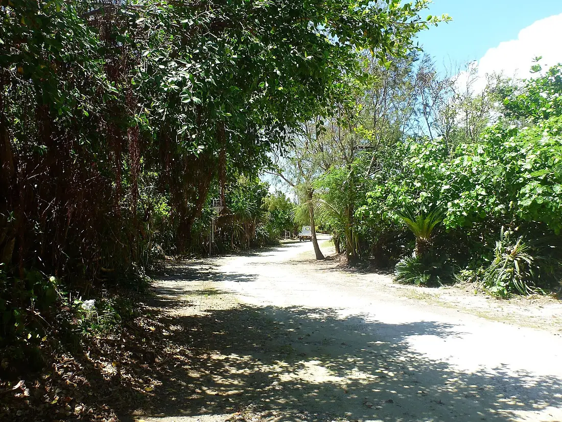 Island Road Tarama Island