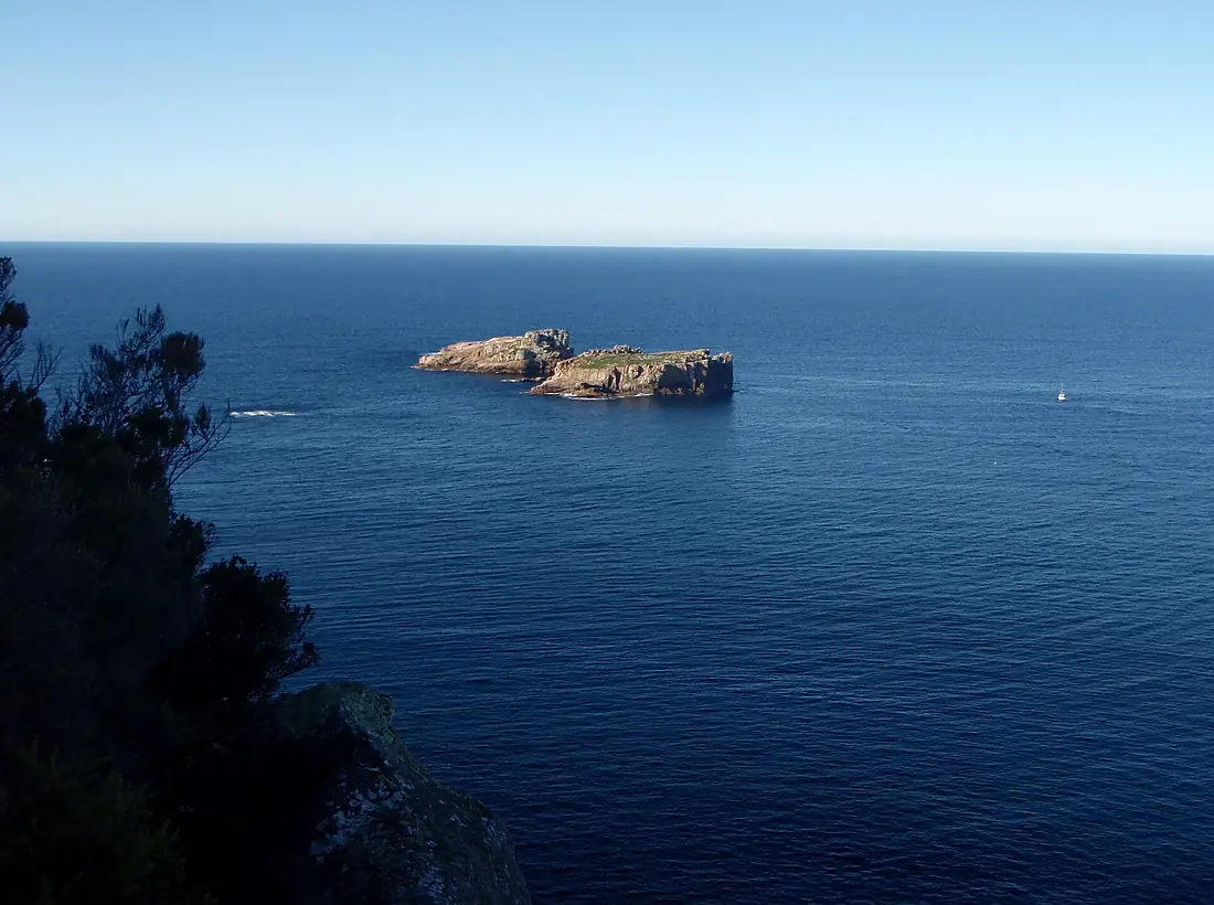 The Nuggets, Tasmania