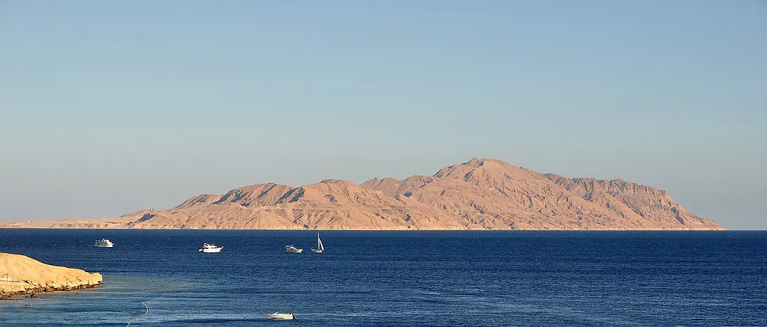 Tiran R01