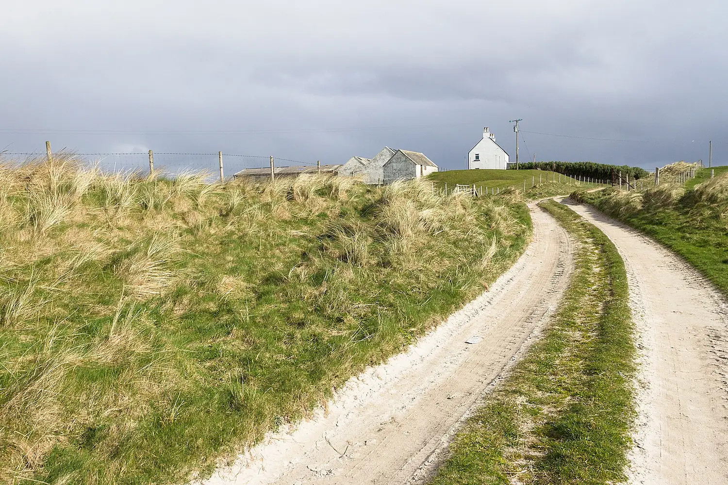 Isle of Tiree, April, 2017-1