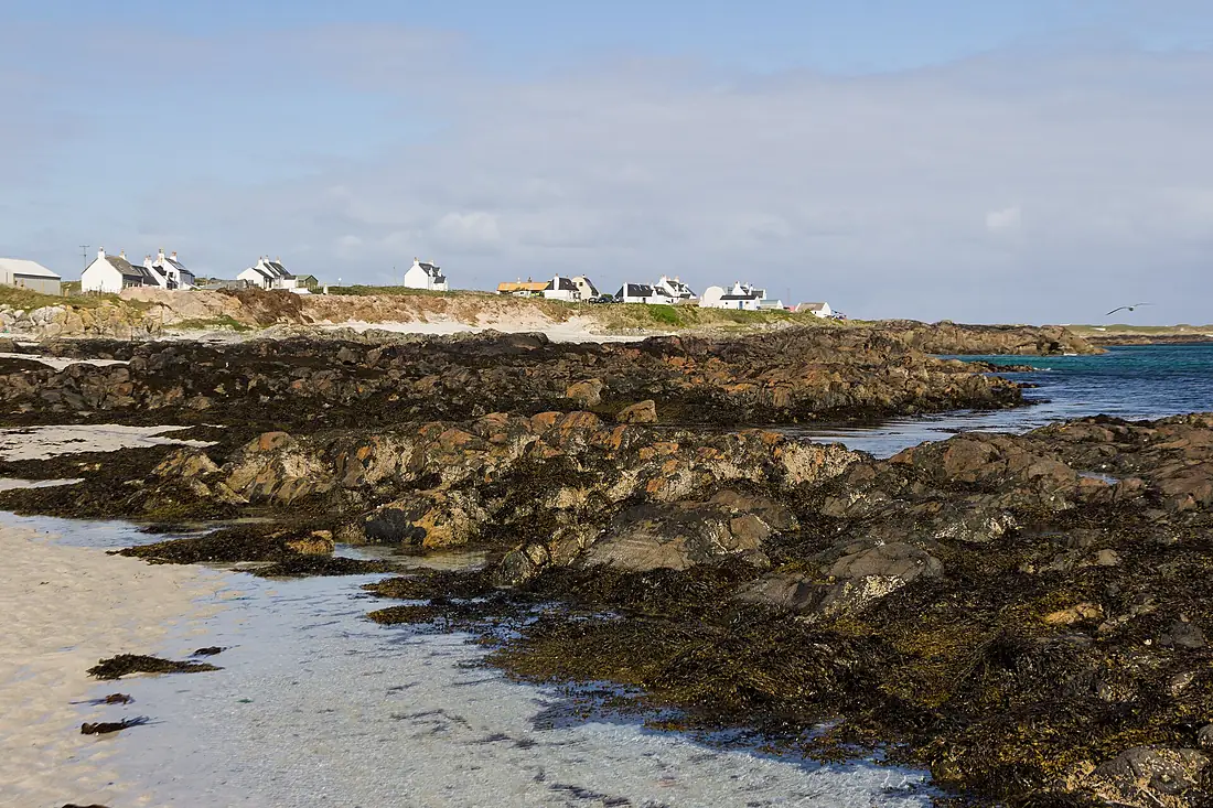 Isle of Tiree, April, 2017-10